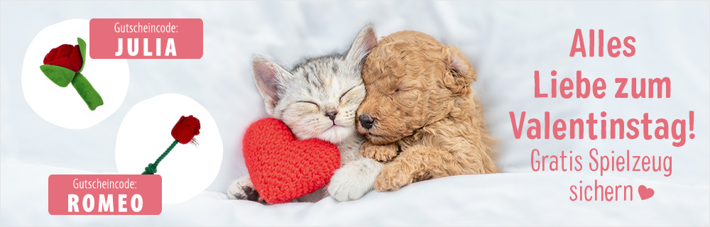 Gratis Hunde- und Katzenspielzeug zum Valentinstag