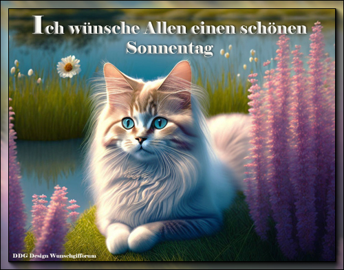 Sonnentag.jpg