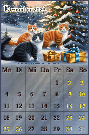 Katze_Dezember2023.gif