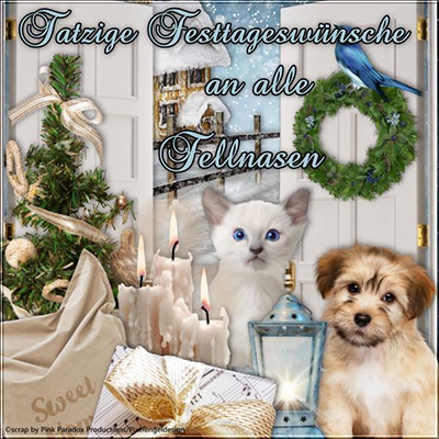 :Tierweihnachtenpüppi:
