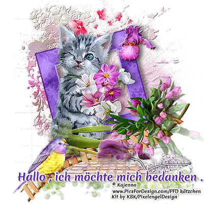 :Idefix der kleine Kater: