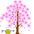 rosa_baum