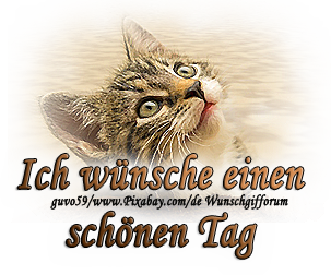 schoenen_tag_katze