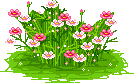 Blumenteppich blumenteppich