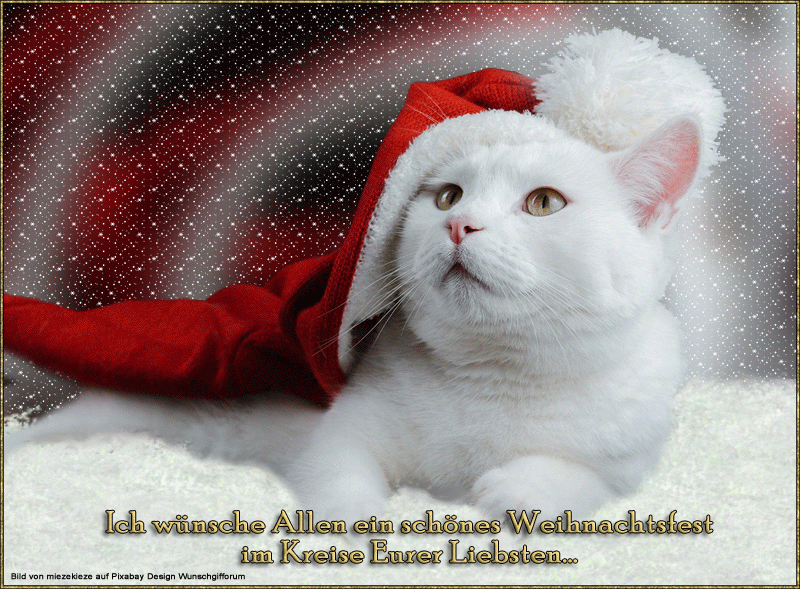 Weihnachtsmiez weihnachtsmiez