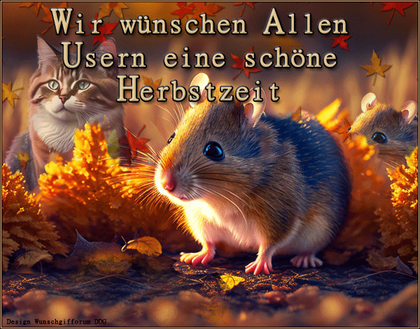 Herbstzeit Maus Katze herbstzeit_maus_katze