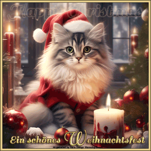 weihnachts_katze