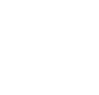 schmetterling_weiss