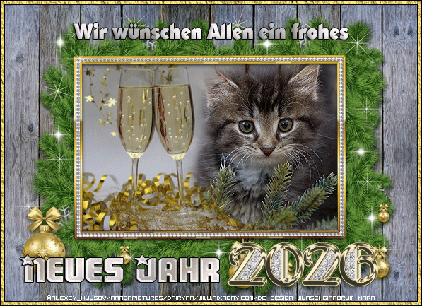 happy_new_year_katze