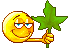 :Wetter1: