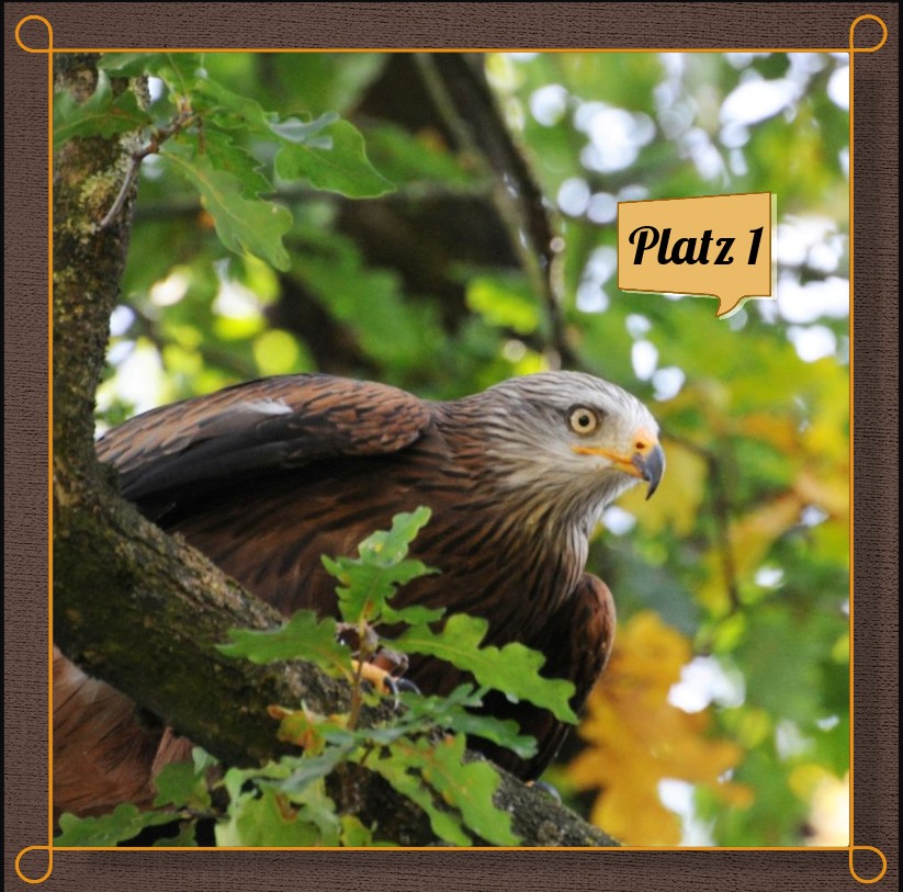 Platz1 (11).jpg