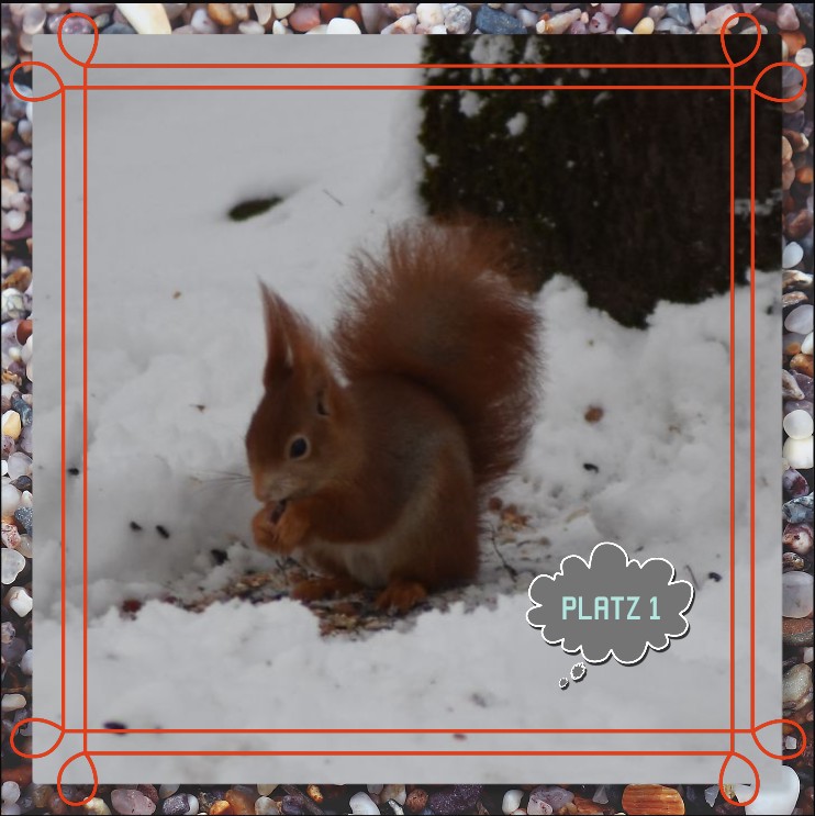 Platz 1.jpg